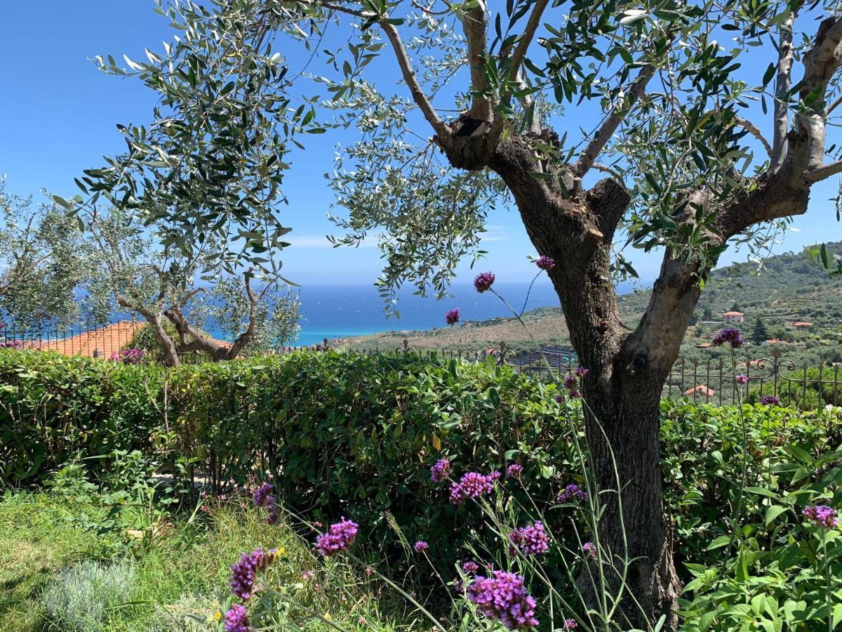 Agriturismo L'Orto Di Muma Gorleri Luaran gambar